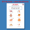 BT2 My body - Shark of English
