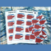 English coupons - Shark of English