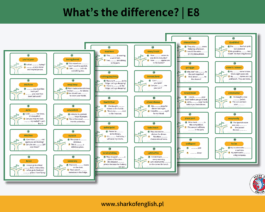 What’s the difference? E8